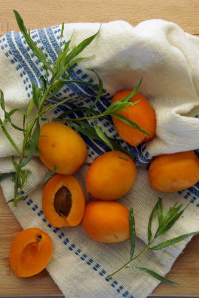 Apricots & Tarragon