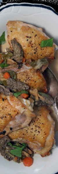 Chicken & Morel Mushroom Fricassée