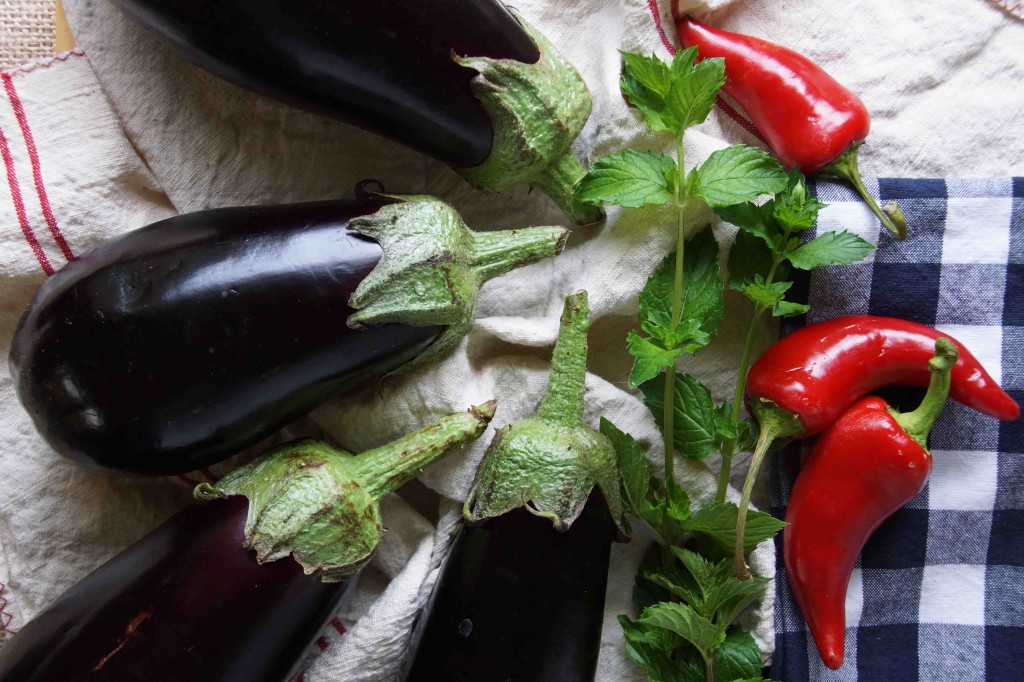 Eggplants, Peppers, and Mint